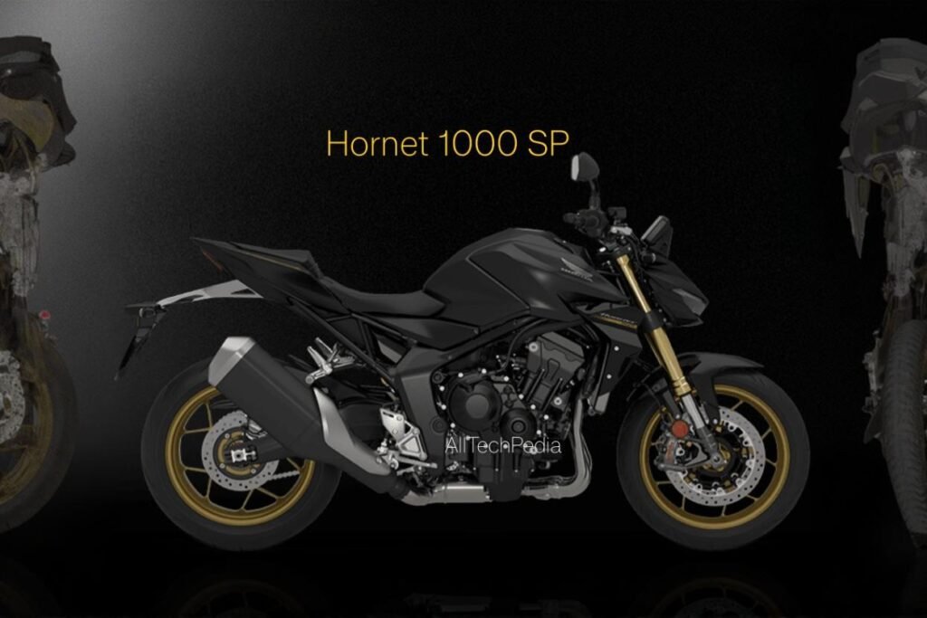 Hornet 1000 SP