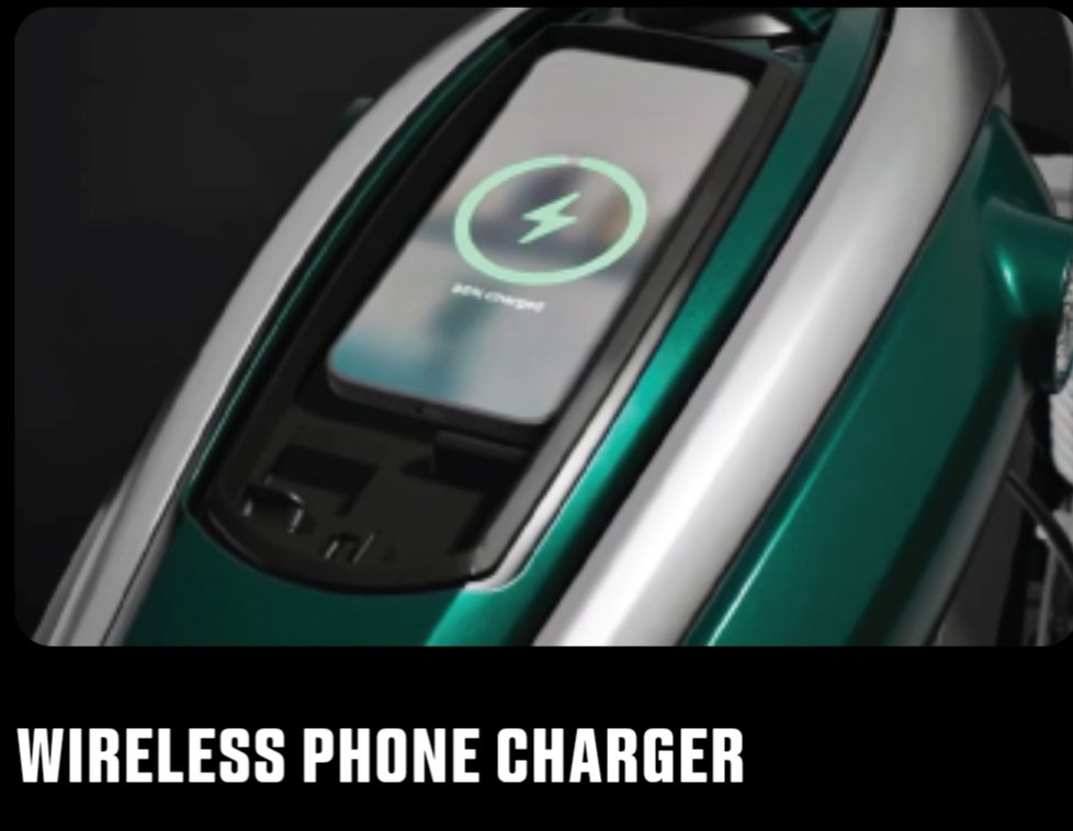 Flying flea features 6