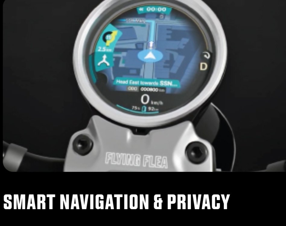 Flying flea features 4