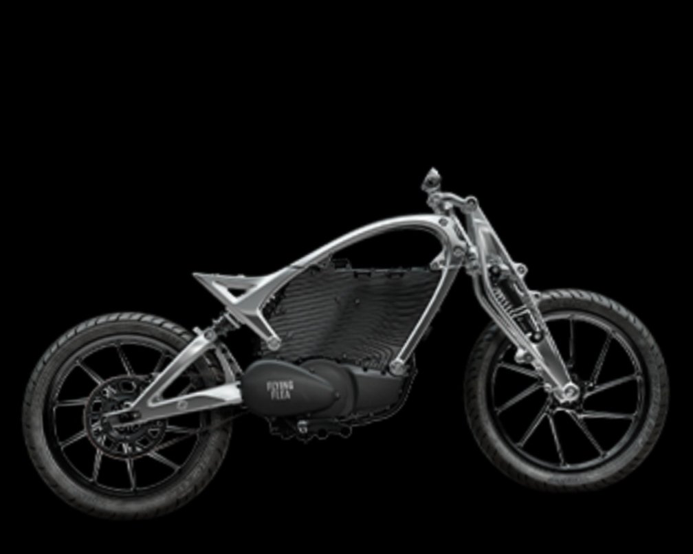 Flying flea features 1